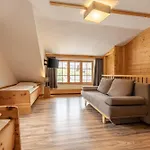 Alm Grosseck Chalet Mariapfarr