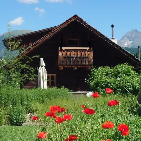 Alm Grosseck Domek alpejski Mariapfarr